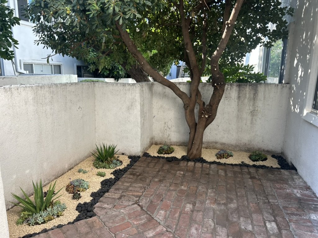A walled brick courtyard with a young tree, a fresh gravel bed edged in black rock, and newly planted succulents
