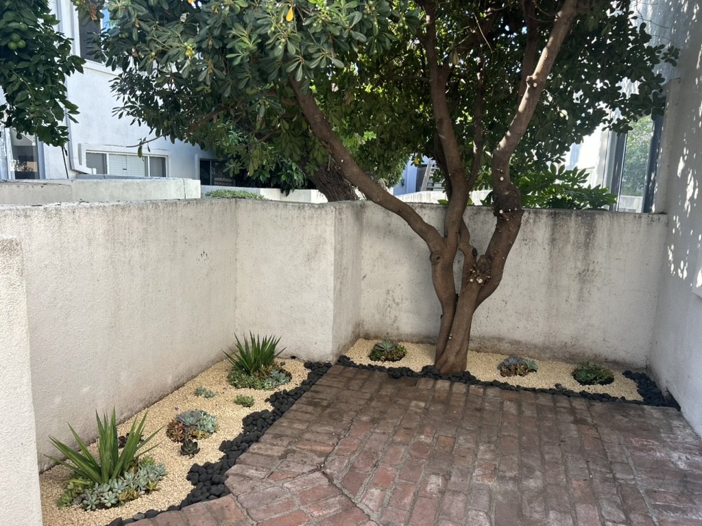 The bed finished with gravel, a black rock border, and succulents
